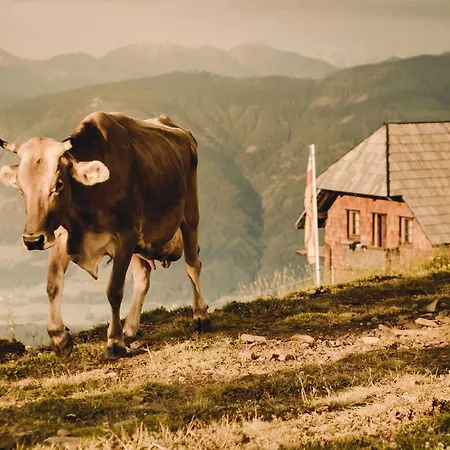 Alexanderhuette - Nur Zu Fuss Erreichbar * ミルシュタット