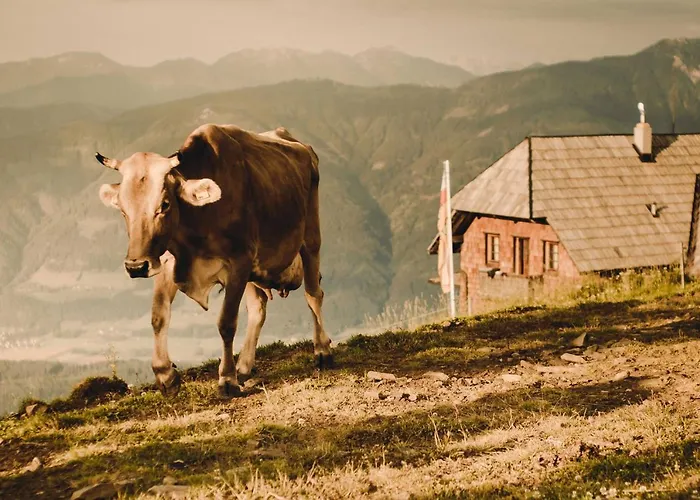 Alexanderhuette - Nur Zu Fuss Erreichbar * Millstatt am See